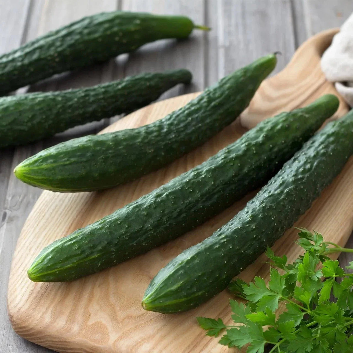 Suyo Long Cucumber Seeds - 50+ Heirloom Non-GMO Organic - Rare Variety - Cucumis sativus