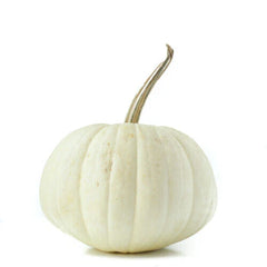 White Pumpkin Seeds - 25+ Count - Ghost Variety - Cucurbita pepo - Ideal for Garden Planting - USA Grown