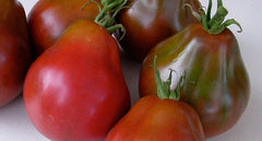 Black Truffle Tomato Seeds, NON-GMO, Japanese Black Trifele, Potato Leaf, Heirloom Variety