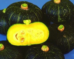 Black Kurinishiki Squash Seeds - 10 Rare Edible Seeds for Planting - Cucurbita maxima