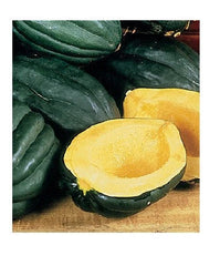 Table Queen Acorn Squash Seeds - 10-40 Heirloom Bush Variety for Beautiful Winter Gardens - Cucurbita pepo