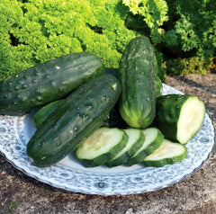 Double Yield Cucumber Seeds - 200+ Heirloom Organic NON-GMO - Cucumis sativus - Fresh Gardening Supplies