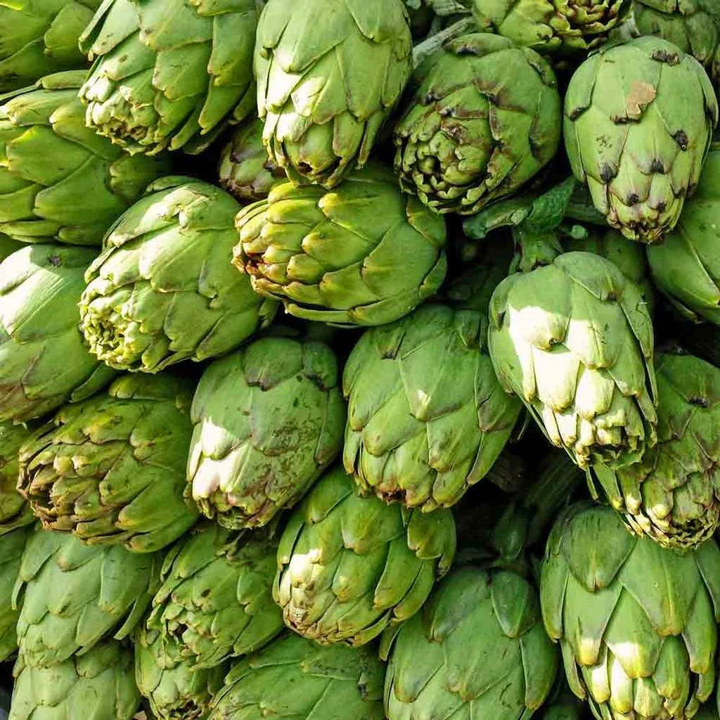 Artichoke Seeds 25 Pack Green Globe Non-GMO Vegetable Garden Seeds Cynara scolymus USA Free Shipping