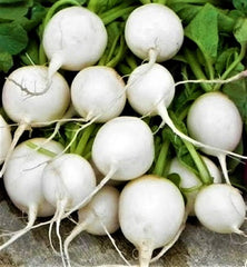 Hailstone Radish Seeds, Non-GMO, 200+ Seeds, Raphanus sativus, Fast-Growing Vegetable Garden Seeds