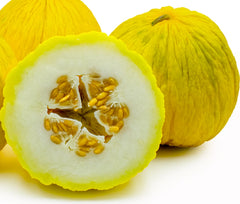Golden Beauty Casaba Melon Seeds - 30 Non-GMO Seeds - Heirloom Variety - Cucumis melo