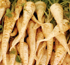Harris Early Model Parsnip Seeds | White Root Vegetable Seeds | Daucus carota 2025