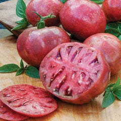 Cherokee Purple Tomato Seeds - Indeterminate Heirloom Beefsteak Variety - Non-GMO - 60 Seeds
