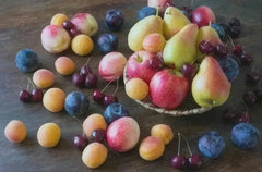 Assorted Fruit Cuttings - 50+ Variety Fruit Tree Cuttings - Grafted Plant Propagation - Edible Garden