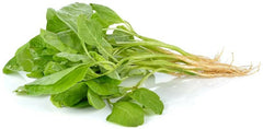 Green Amaranth Spinach Seeds - 100+ Edible Seeds for Planting (Amaranthus viridis) - Healthy Variety for Home Garden