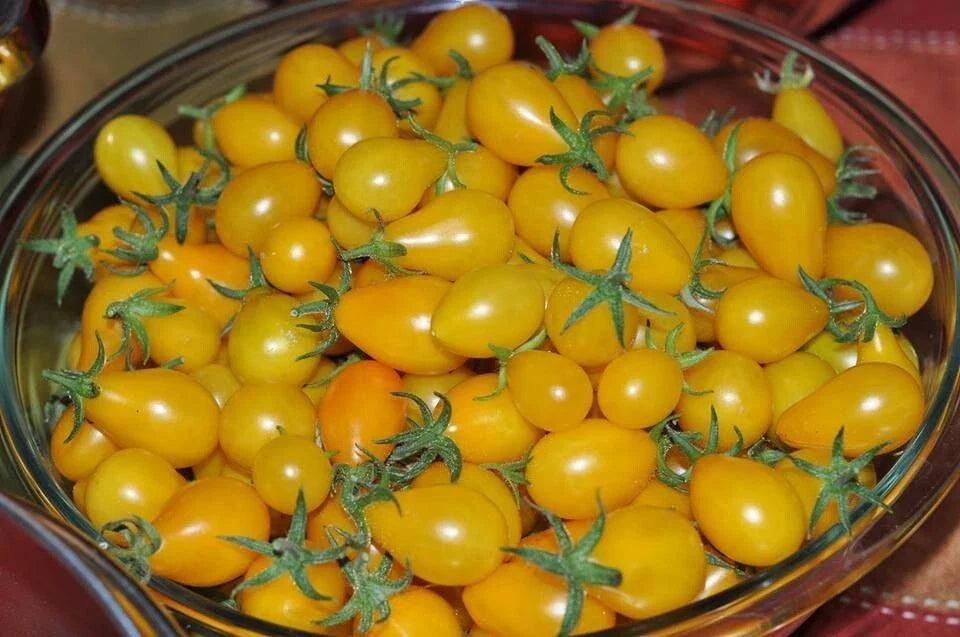 Yellow Pear Tomato Seeds - 60+ Heirloom Non-GMO Seeds - Fresh Organic Variety - Solanum lycopersicum