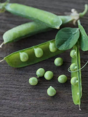 Alaska Peas Seeds 8oz - 1Lb Heirloom Microgreens Fast Growing (Pisum sativum)