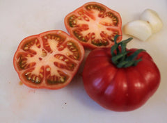 Sub Arctic Plenty Tomato Seeds - 10+ Heirloom Organic Non-GMO - Early Maturing Variety (Solanum lycopersicum)