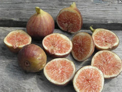 Florea Fig Seeds - 100+ Count for Garden Planting - Ficus carica - USA Grown - Free Shipping