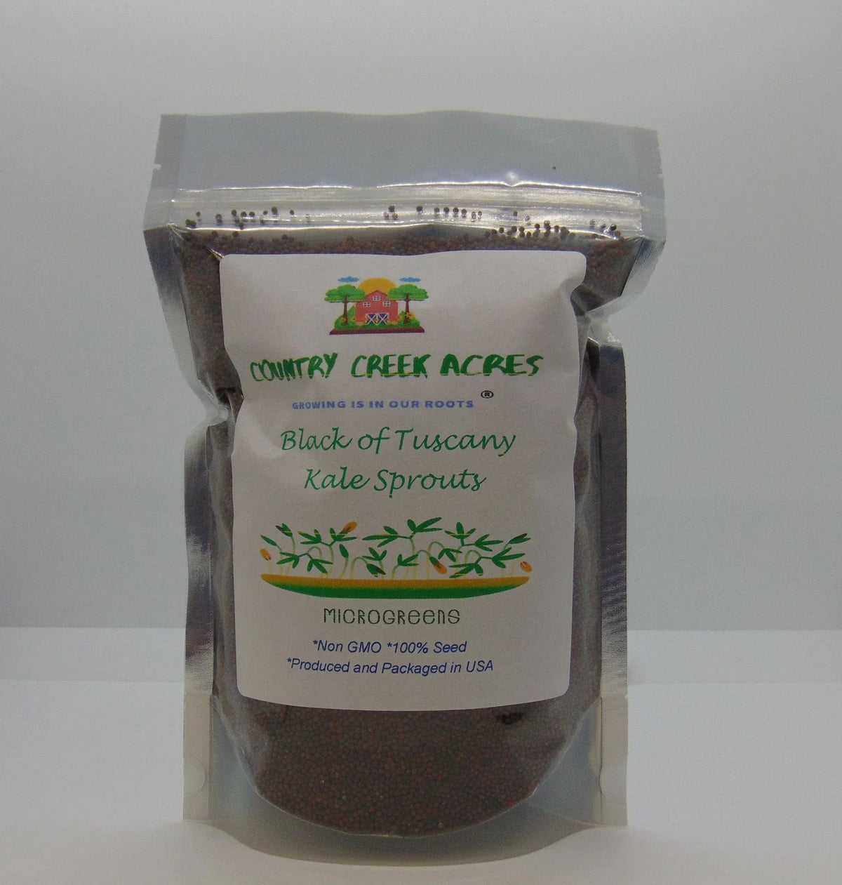 Black of Tuscany Kale Seeds - Heirloom Italian Variety - Brassica oleracea var. sabellica