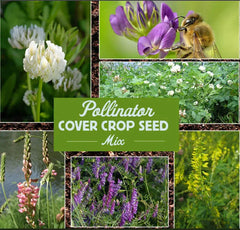Pollinator Cover Crop Mix - 1200 Non-GMO Wildflower Meadow Seeds - Diverse Ground Cover for Bees & Butterflies