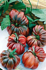 Black From Tula Tomato Seeds - 10+ Heirloom Organic NON-GMO - Rare Variety - Perfect for Home Gardens