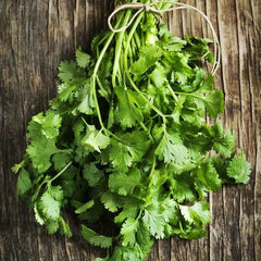 Cilantro Seeds - 100 Non-GMO Fiesta Green Culinary Herb for Kitchen Garden - Coriandrum sativum