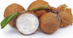 Sprouted Coconut Fruit - Fresh Costa Rican Coconut, Organic, Certified, Tropical Flavor, Cocos nucifera