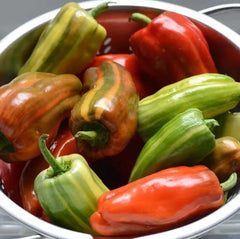 Candy Cane Red Cherry Pepper Seeds - 10 Seeds for Planting - Capsicum annuum
