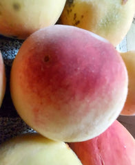Peach Tree Seeds Red Haven - White Fruit - Hardy Perennial Plant (Prunus persica) - Home Garden Edible Plants