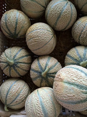 Hearts of Gold Cantaloupe Seeds - 50+ Heirloom Melon Fruit - NON-GMO - Free Shipping