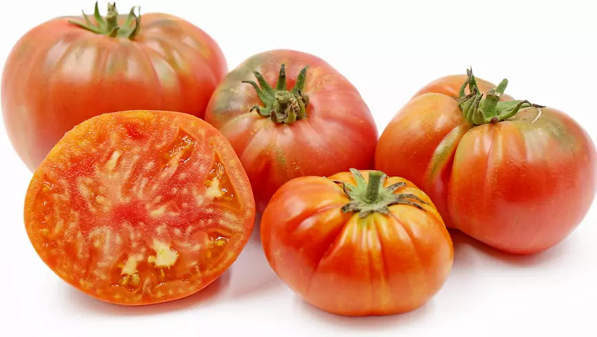 Vintage Wine Striped Tomato Seeds - 120+ Heirloom Beefsteak - Rare Variety - 1 LB - Non-GMO