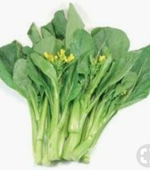 Choy Sum Seeds - 250+ Count - Gunsho Asian Green - Open Pollinated, Non-GMO, Organic