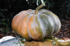 Musque De Province Pumpkin Seeds - 10 Heirloom Seeds for Planting - Big Beautiful Heirloom Variety (Cucurbita pepo)