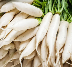 Japanese Daikon Radish Seeds - 100 Heirloom Non-GMO Seeds for Planting - Raphanus sativus var. longipinnatus