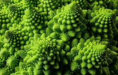 Romanesco Broccoli Seeds 300+ Exotic Vegetable Seeds Brassica oleracea Italica