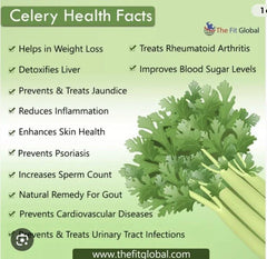 Tall Utah Celery Seeds - Non-GMO, Open Pollinated - 1500+ Seeds - Apium graveolens