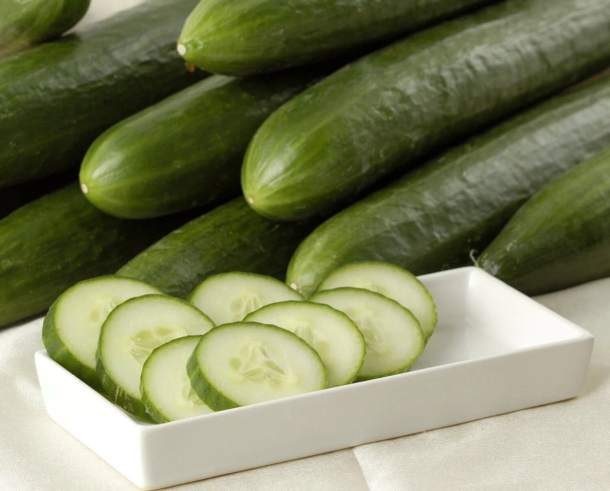 Ashley Long Cucumber Seeds - 25+ Heirloom, Non-GMO, Organic - Cucumis sativus