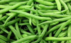 Momentum Green Bean Seeds - Fresh Seeds for Planting - Phaseolus vulgaris - Non-GMO Green Bean Variety