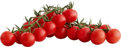 Sugar Bomb Cherry Tomato Seeds - Heirloom Organic Non-GMO - 100+ Seeds - Perfect for Home Gardening - Solanum Lycopersicum