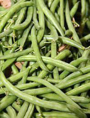 Stringless Green Bean Seeds 1 Ounce Non-GMO Organic Phaseolus vulgaris