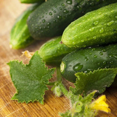 Cucumber Seeds 50 Count Long Green Improved Gourmet Non-GMO Cucumis sativus Free Shipping