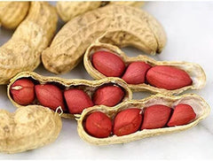 Tennessee Red Peanut Seeds - 20 Seeds Packet (10 Shells) - Non-GMO Variety, Arachis hypogaea