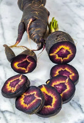 Black Nebula Carrot Seeds - 200+ Heirloom Organic NON-GMO Fresh Seeds - Daucus carota