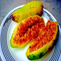 10 Banana Passionfruit Seeds | Rare Fast Flowering Vine | Passiflora Mollissima