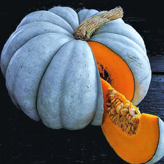 Jarrahdale Blue Pumpkin Seeds - Winter Squash Variety for 2025 Planting - Cucurbita maxima