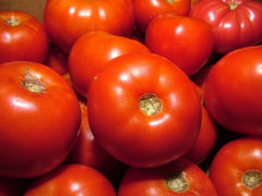 Rutgers Bulk Tomato Seeds - 100 Seeds - Solid Variety - Great Slicer - Perfect for Home Gardening - Solanum lycopersicum