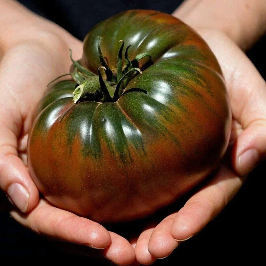 Russian Black Krim Tomato Seeds - 10+ Non-GMO Organic Heirloom Seeds - Fresh Gardening Supplies