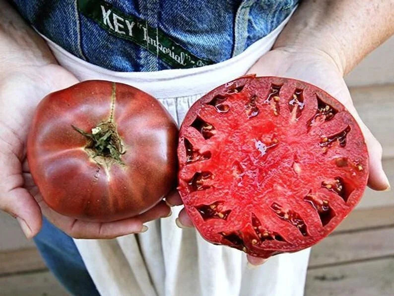 Cherokee Purple Tomato Seeds - 60+ Heirloom Non-GMO Seeds - Organic Heirloom Variety - Solanum lycopersicum