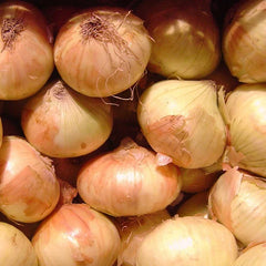 Walla Walla Sweet Onion Seeds | Heirloom Non-GMO Variety | Allium cepa | Free Shipping