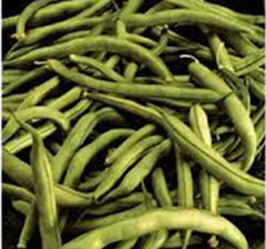 Heirloom Bean Seeds - Commodore Bush Variety, 500+ Non-GMO Green Beans, Organic Gardening Seeds