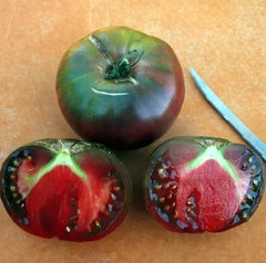 Black From Tula Tomato Seeds - 120+ Heirloom Organic Non-GMO - Rare Variety for Home Gardens - Solanum lycopersicum
