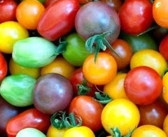 Rainbow Cherry Tomato Seeds - 10+ Heirloom Organic NON-GMO - Fresh Garden Seeds for Planting - Solanum lycopersicum