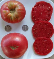 Huge Pink Heirloom Beefsteak Rose Seeds - 25 Fresh Seeds for Delicious Blooms - Perfect for Gardens and Cut Flowers