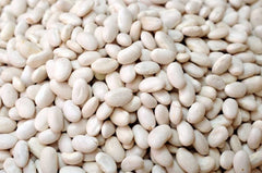 Navy Bean Seeds - 50 Count for Planting - White Kidney Variety - Phaseolus vulgaris