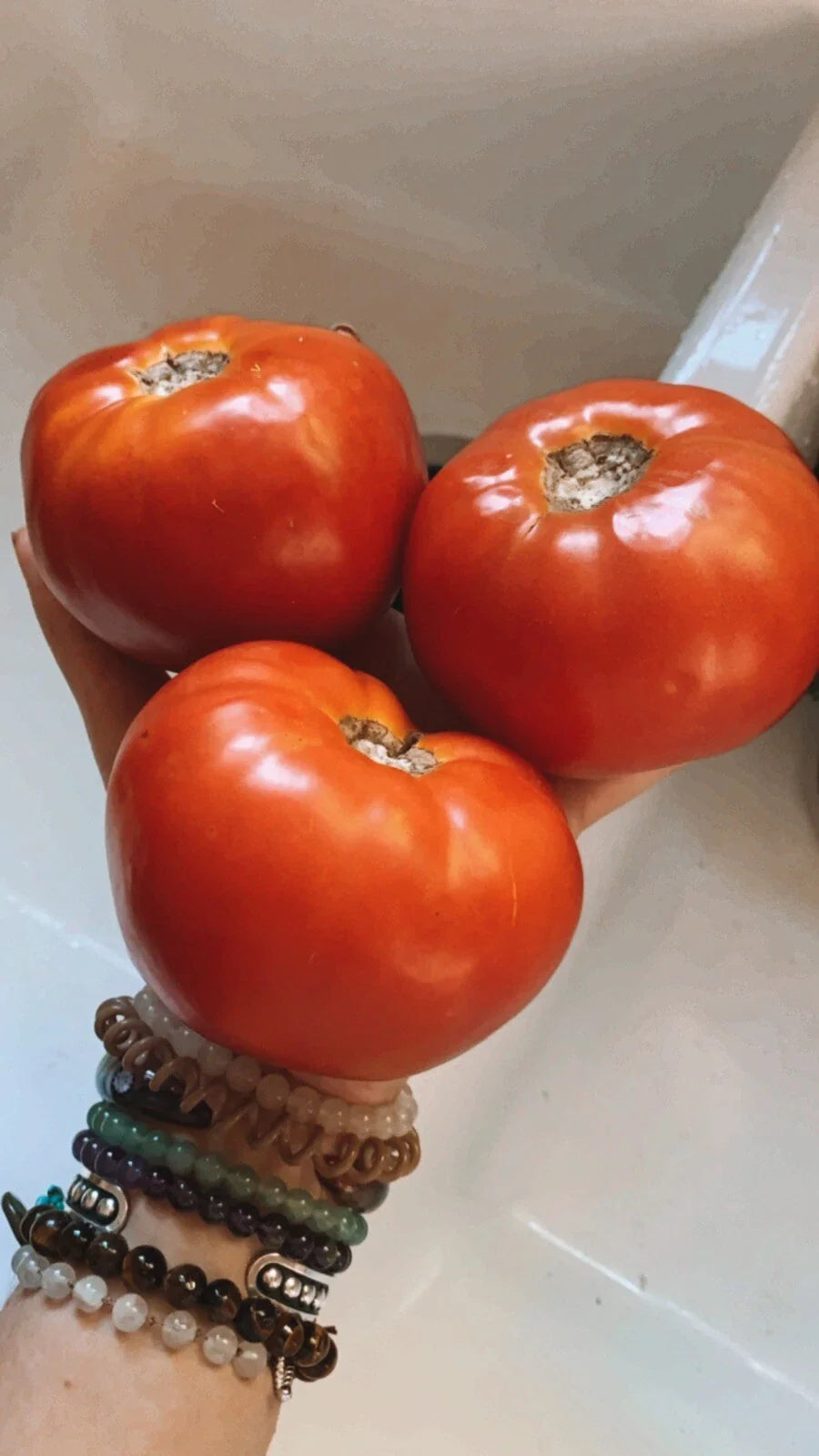 Large Beefsteak Tomato Seeds - 50 Non-GMO Organic Seeds for Homegrown Garden - Solanum lycopersicum 🍅 USA